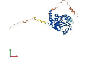 Protein Structure (PS) image for Tocopherol (Alpha) Transfer Protein-Like (TTPAL) (AA 1-342) protein (His tag) (ABIN7544763)