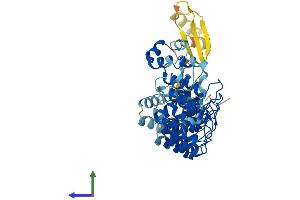 AlphaFold protein structure predicition of Mouse Recombinant Asb18 Protein, UniprotID Q8VHA6 (ASB18 Protein (AA 1-467) (His tag))