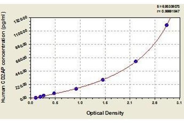 CD2AP ELISA Kit