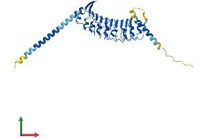 AlphaFold protein structure predicition of Mouse Recombinant Lrrc39 Protein, UniprotID Q8BGI7