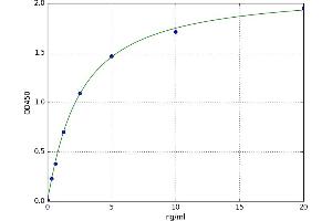 Cholinergic Receptor, Muscarinic 3 (CHRM3) ELISA Kit