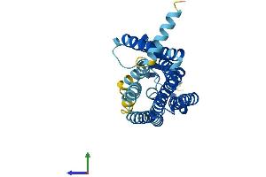 AlphaFold protein structure predicition of Human Recombinant OR10G9 Protein, UniprotID Q8NGN4 (OR10G9 Protein (AA 1-311) (His tag))