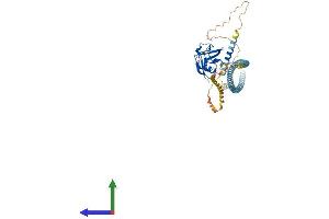 Protein Structure (PS) image for Scavenger Receptor Class A, Member 5 (SCARA5) (AA 1-491) protein (His tag) (ABIN7564631)