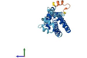 AlphaFold protein structure predicition of Human Recombinant CD81 Protein, UniprotID P60033 (CD81 Protein (CD81) (AA 1-236) (His tag))
