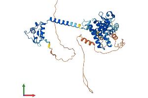 AlphaFold protein structure predicition of Mouse Recombinant Thra Protein, UniprotID P63058 (THRA Protein (AA 1-492) (His tag))