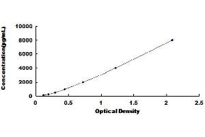 KPNA2 ELISA Kit