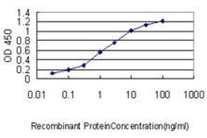 Detection limit for recombinant GST tagged MPP3 is approximately 0. (MPP3 antibody  (AA 1-585))