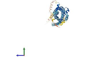 Protein Structure (PS) image for Chemokine (C-X-C Motif) Receptor 6 (CXCR6) (AA 1-351) protein (His tag) (ABIN7561390)