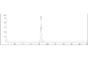 The purity of Anti-IL-6 / IFNb2 Reference Antibody (MEDI 5117) is 100 % , determined by SEC-HPLC.