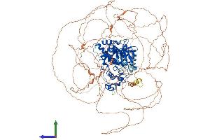 AlphaFold protein structure predicition of Human Recombinant HIPK3 Protein, UniprotID Q9H422