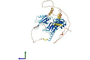AlphaFold protein structure predicition of Mouse Recombinant Puf60 Protein, UniprotID Q3UEB3