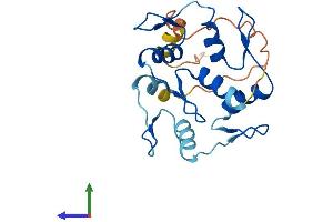 Protein Structure (PS) image for Zinc Finger Protein 876, Pseudogene (ZNF876P) (AA 1-203) protein (His tag) (ABIN7545520)