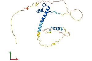 Protein Structure (PS) image for Paired Related Homeobox 1 (PRRX1) (AA 1-245) protein (His tag) (ABIN7556634)