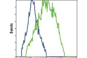 FC analysis of HCC827 cells, untransfected (blue) or transfected with GFP (green), using GFP antibody . (GFP antibody)