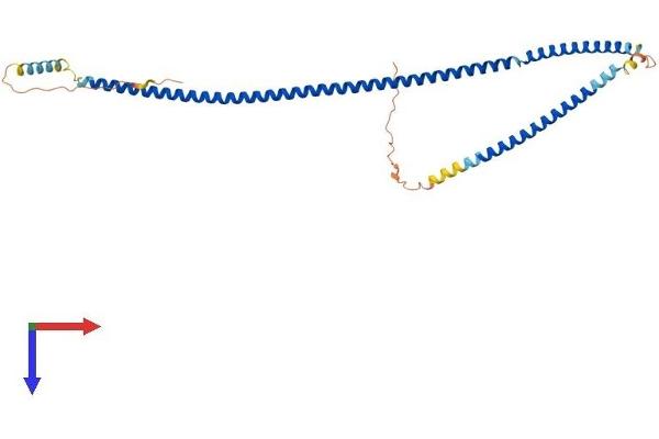 SYCE1 Protein (AA 1-329) (His tag)