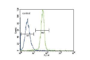 Flow cytometric analysis of K562 cells (right histogram) compared to a negative control cell (left histogram). (Leptin Receptor antibody  (N-Term))