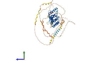 AlphaFold protein structure predicition of Human Recombinant OTUD5 Protein, UniprotID Q96G74 (OTUD5 Protein (AA 1-571) (His tag))
