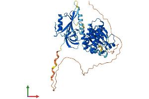 Protein Structure (PS) image for TXK tyrosine Kinase (TXK) (AA 1-527) protein (His tag) (ABIN7563249)
