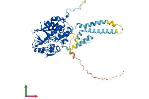 Protein Structure (PS) image for Protein Phosphatase 3, Catalytic Subunit, gamma Isozyme (PPP3CC) (AA 1-512) protein (His tag) (ABIN7551002)