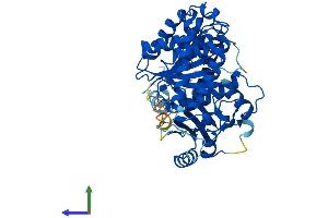 AlphaFold protein structure predicition of Mouse Recombinant Tuba1a Protein, UniprotID P68369