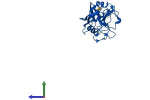 AlphaFold protein structure predicition of Human Recombinant PPIC Protein, UniprotID P45877 (PPIC Protein (AA 1-212) (His tag))