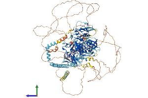 AlphaFold protein structure predicition of Human Recombinant SETDB1 Protein, UniprotID Q15047 (SETDB1 Protein (AA 1-1291) (His tag))