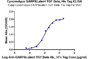 Immobilized Cynomolgus GARP&Latent TGF beta, His Tag at 2 μg/mL (100 μL/Well) on the plate.