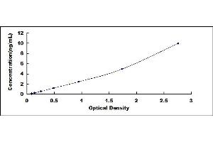 Typical standard curve (HIF1A ELISA Kit)