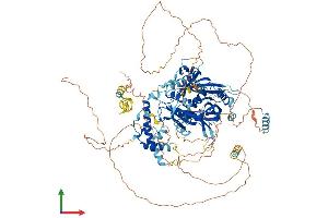 AlphaFold protein structure predicition of Human Recombinant ICE2 Protein, UniprotID Q659A1 (NARG2 Protein (AA 1-982) (His tag))