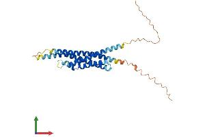 AlphaFold protein structure predicition of Mouse Recombinant Ms4a6d Protein, UniprotID Q99N07 (MS4A11 Protein (AA 1-247) (His tag))