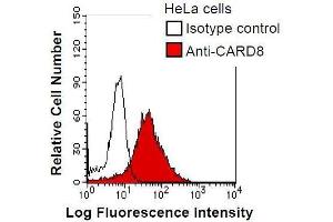 HeLa cells were fixed in 2% paraformaldehyde/PBS and then permeabilized in 90% methanol. (CARD8 antibody)