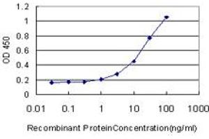 Detection limit for recombinant GST tagged MKNK2 is approximately 1ng/ml as a capture antibody.