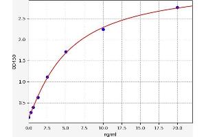 Typical standard curve (CCR5 ELISA Kit)