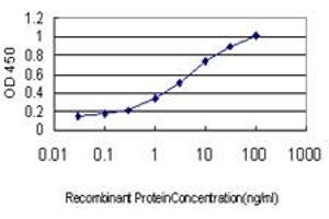 Detection limit for recombinant GST tagged ABCC6 is approximately 0. (ABCC6 antibody  (AA 831-930))
