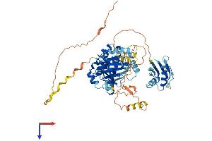 STK39 Protein (AA 1-556) (His tag)