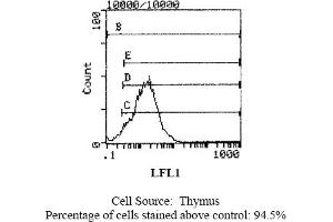 Mouse anti CD18 (Integrin beta 2 chain) WT. (Integrin beta 2 antibody  (Biotin))