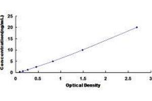 Atrial Natriuretic Peptide Receptor 3 (NPR3) ELISA Kit