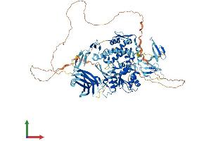 Protein Structure (PS) image for WW Domain Containing E3 Ubiquitin Protein Ligase 1 (WWP1) (AA 1-922) protein (His tag) (ABIN7556022)