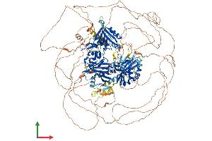 AlphaFold protein structure predicition of Human Recombinant ZFYVE9 Protein, UniprotID O95405