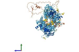 AlphaFold protein structure predicition of Human Recombinant ABCC11 Protein, UniprotID Q96J66