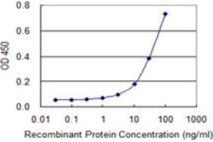 Detection limit for recombinant GST tagged ZYX is 1 ng/ml as a capture antibody. (ZYX antibody  (AA 1-572))
