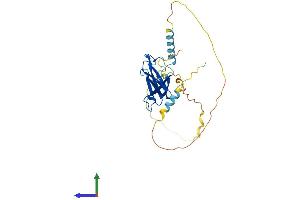 AlphaFold protein structure predicition of Human Recombinant EAF1 Protein, UniprotID Q96JC9