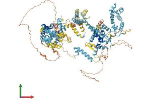 AlphaFold protein structure predicition of Human Recombinant RGSL1 Protein, UniprotID A5PLK6 (RGSL1 Protein (AA 1-1076) (His tag))