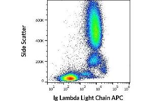 Flow cytometry surface staining pattern of human peripheral whole blood stained using anti-human Ig Lambda Light Chain (4C2) APC (10 μL reagent / 100 μL of peripheral whole blood). (Lambda-IgLC antibody  (APC))
