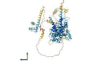 AlphaFold protein structure predicition of Human Recombinant NVL Protein, UniprotID O15381 (NVL Protein (AA 1-856) (His tag))