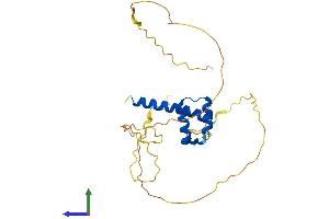 Protein Structure (PS) image for Homeobox D12 (HOXD12) (AA 1-270) protein (His tag) (ABIN7548464)