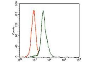 Flow cytometric analysis of HeLa cells using E2F1 mouse mAb (green) and negative control (red). (E2F1 antibody  (AA 69-223))