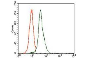 Flow cytometric analysis of HeLa cells using E2F1 mouse mAb (green) and negative control (red).