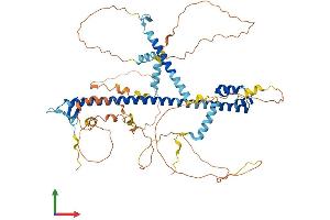 Protein Structure (PS) image for Nuclear Factor (erythroid-Derived 2)-Like 2 (NFE2L2) (AA 1-605) protein (His tag) (ABIN7549830)