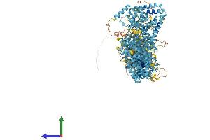 AlphaFold protein structure predicition of Human Recombinant FANCA Protein, UniprotID O15360 (FANCA Protein (AA 1-1455) (His tag))